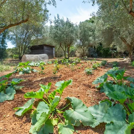 Feriehus Gallinistella