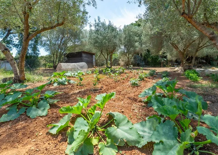 Holiday home Gallinistella